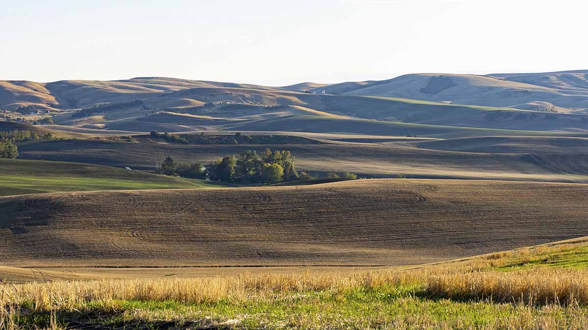 Scenic view of rolling hills.