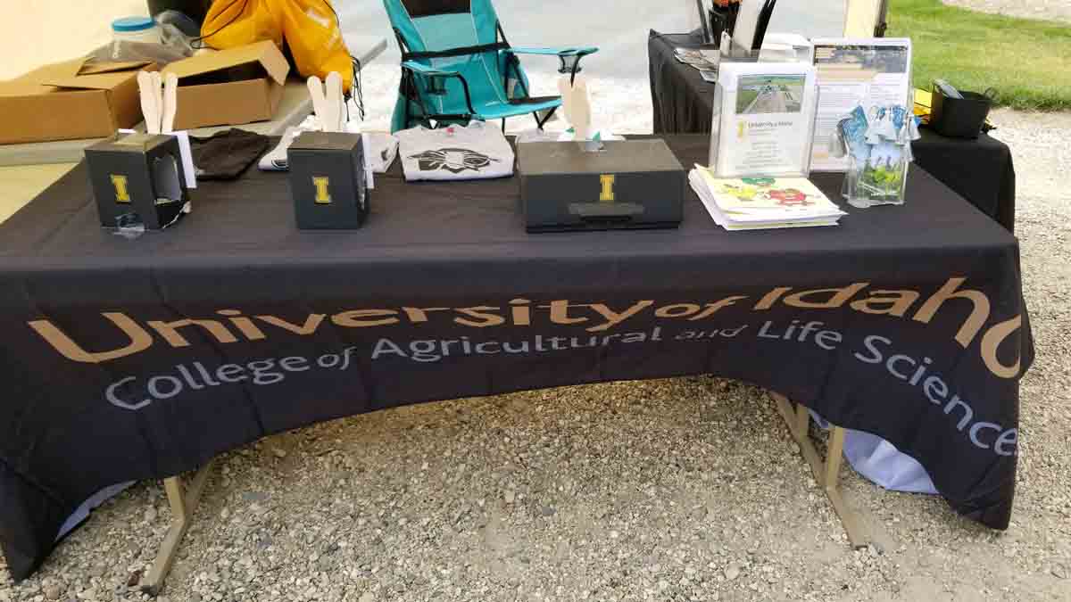 Old Fort Boise Days table