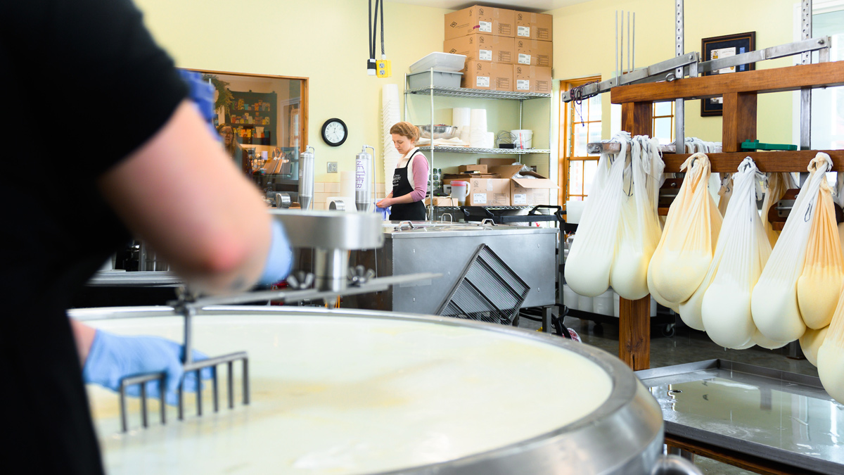 Woman stirs milk in large vat.