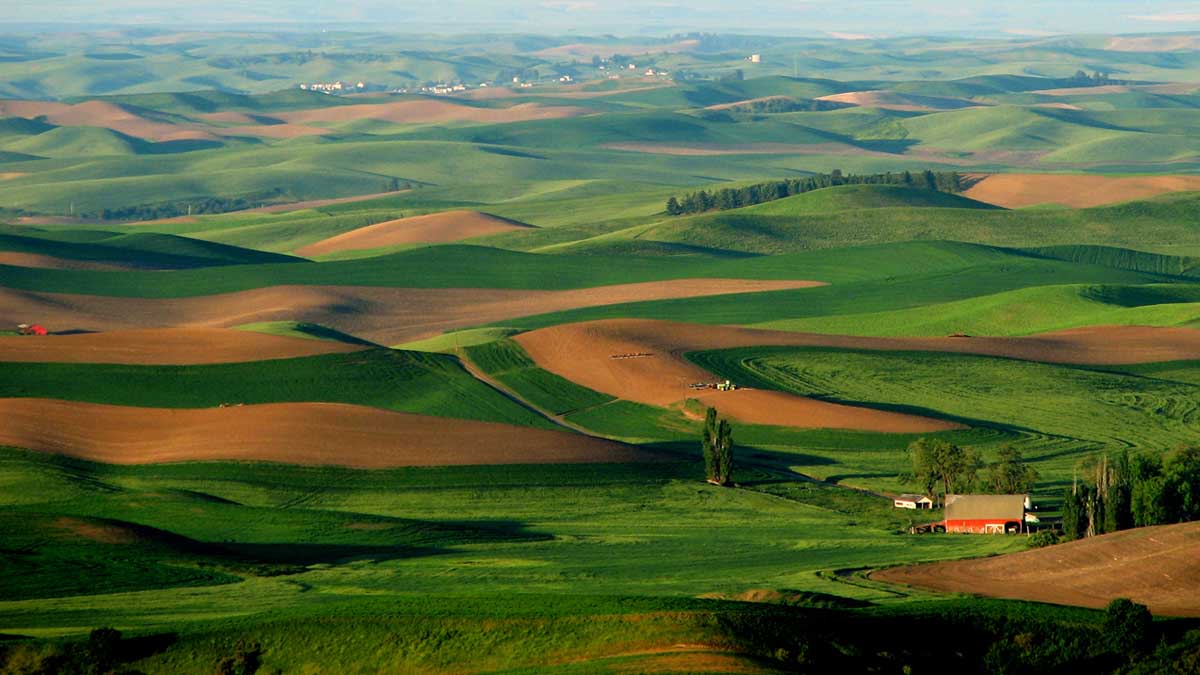 Scenic view of Palouse hills from Steptoe butte