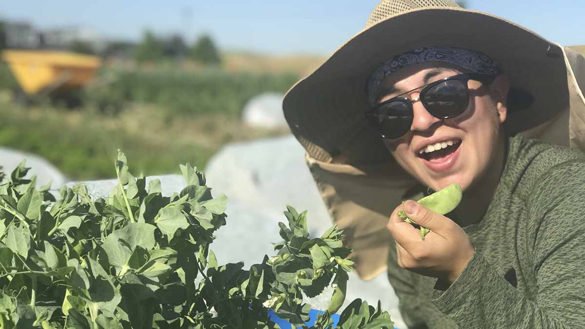 A girl in a garden with a pea in her hand.