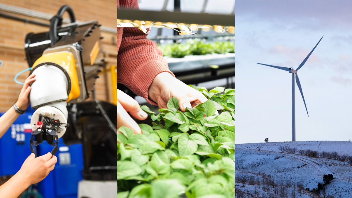 robot hand, hands touching plants, and a windmill