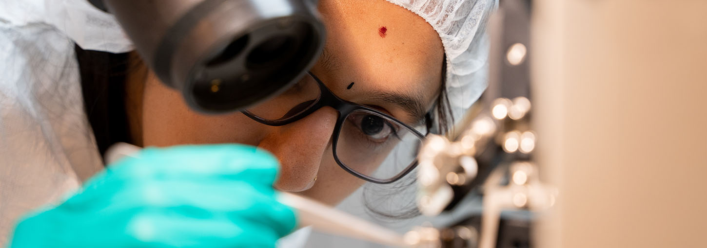 Student looks at microchip through microscope