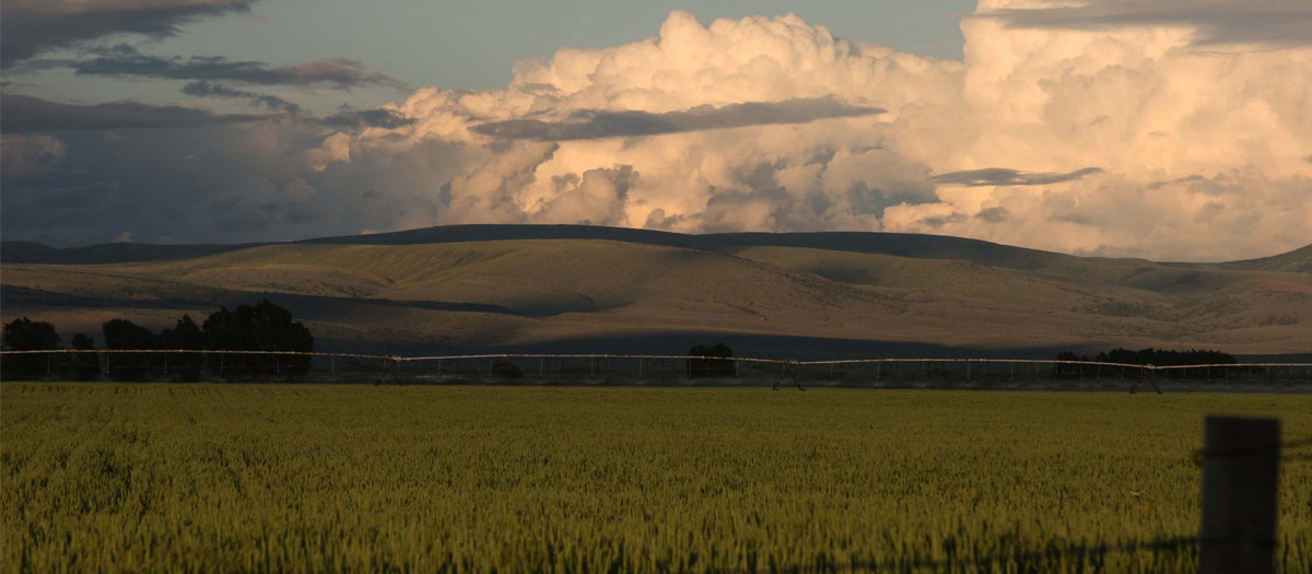 Clouds cast shadows on a field.