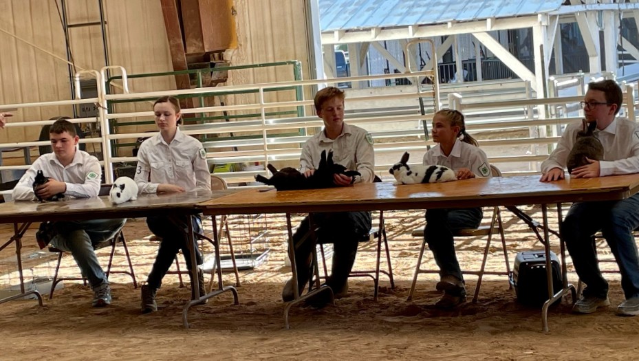 Kids at a table showing rabbits 