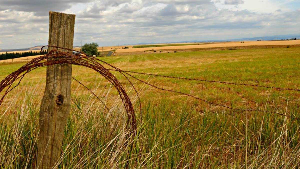 A field in Idaho county