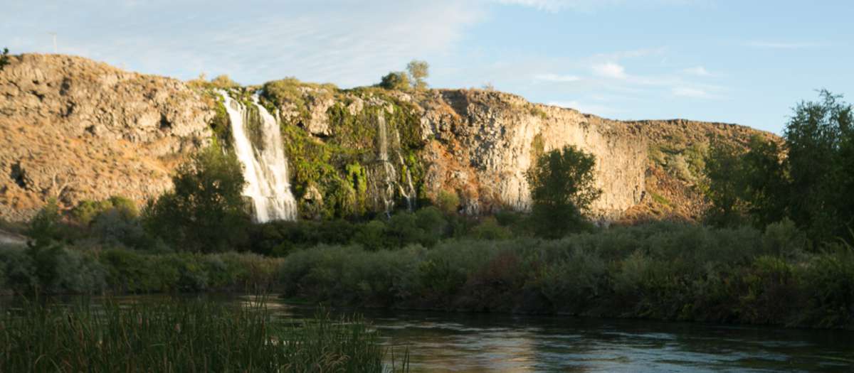 A waterfall over a cliff with plants and a stream at the bottom.