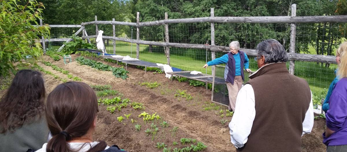 A woman gestures to a row of plants in a garden as others look on.