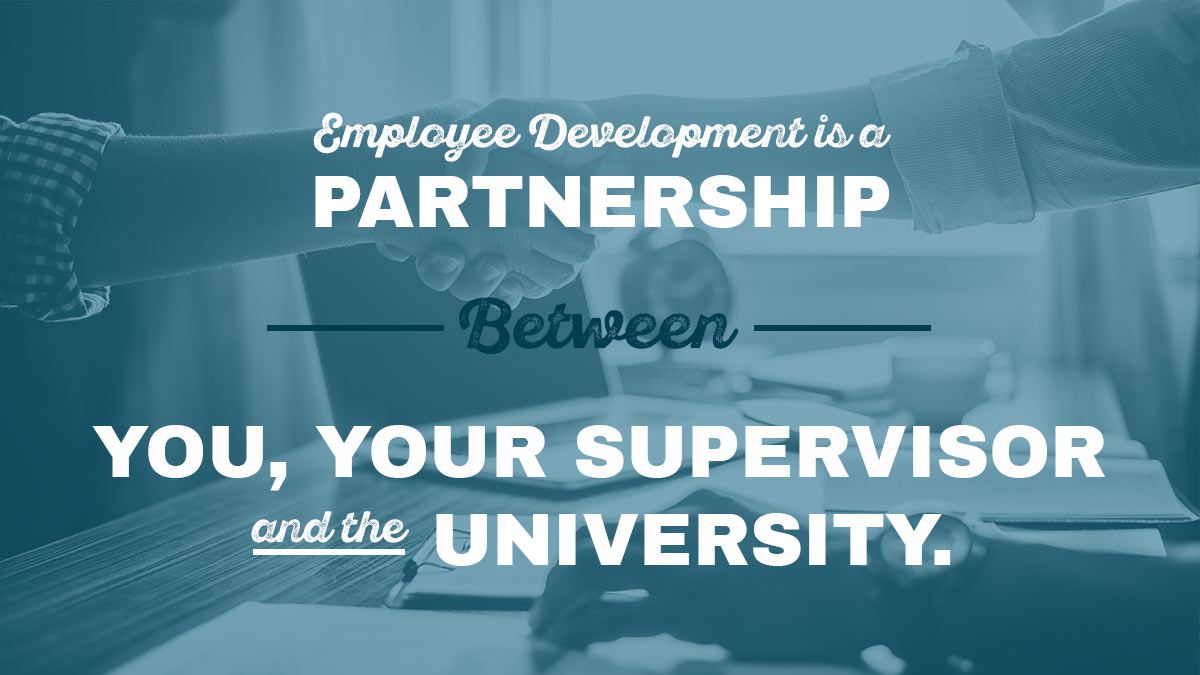 Employee Development Banner