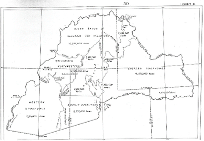 Reservation Map of Shoshone-Bannock Tribes