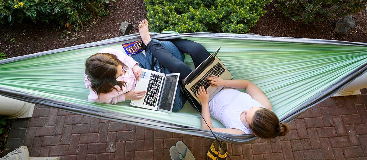 Students studying on laptops in a hammock