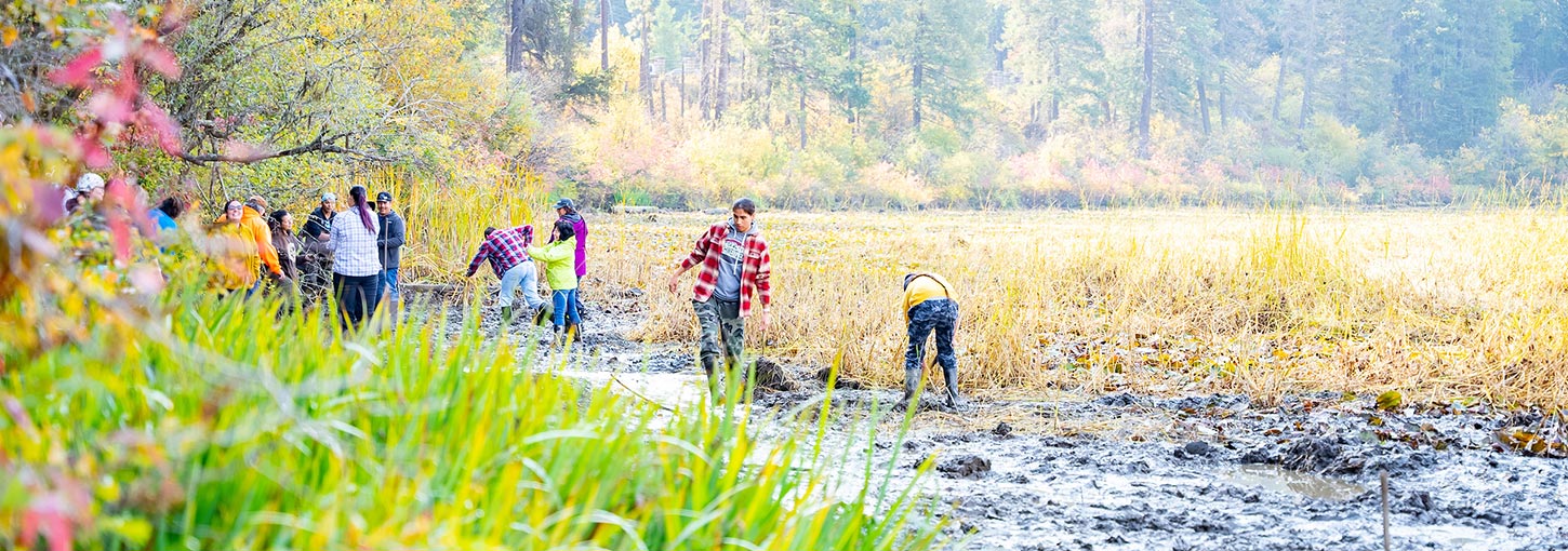 Students wander along a creek